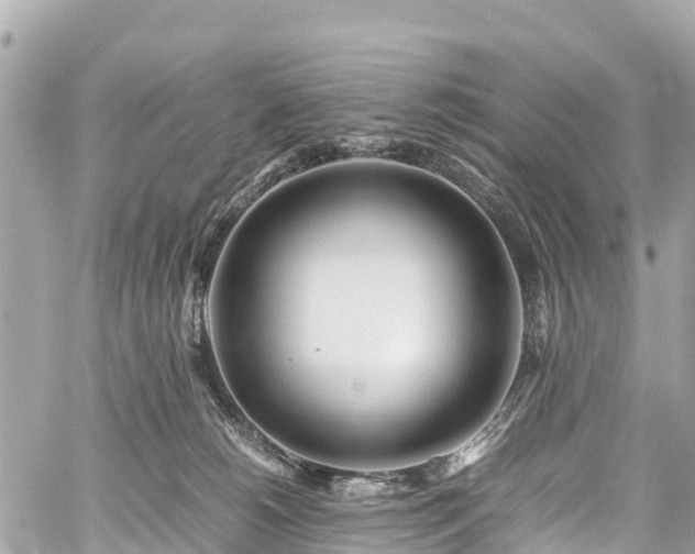 X0000059830180200510241430