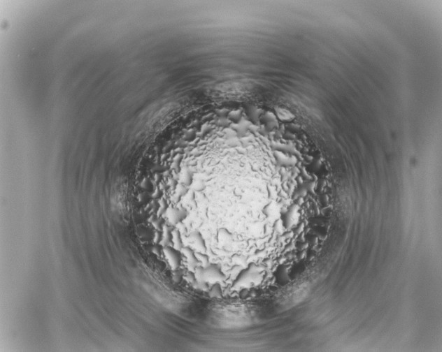 X0000059830181200510241430