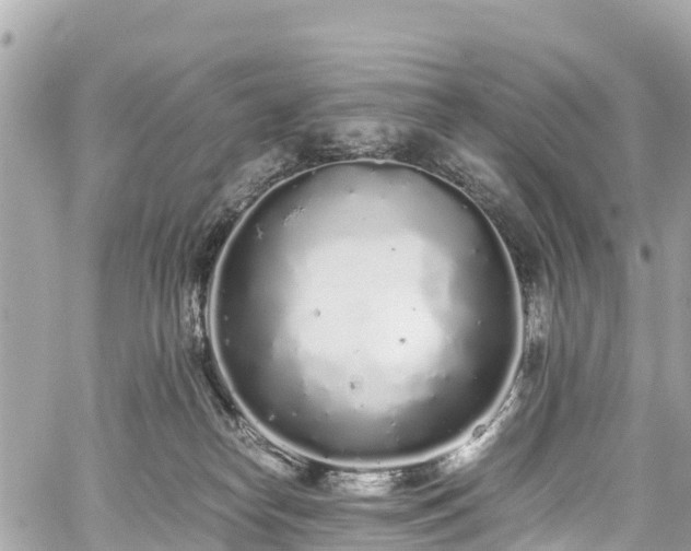 X0000059830182200510241430