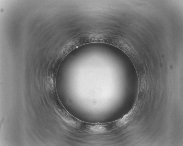 X0000059830183200510241430