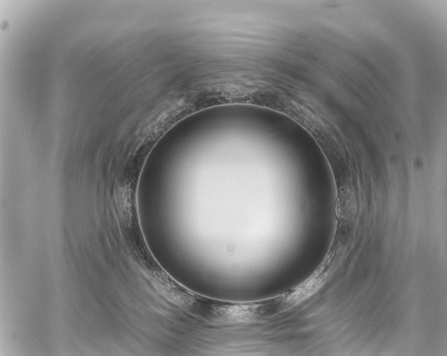 X0000059830184200510241430