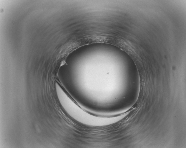 X0000059830185200510241430