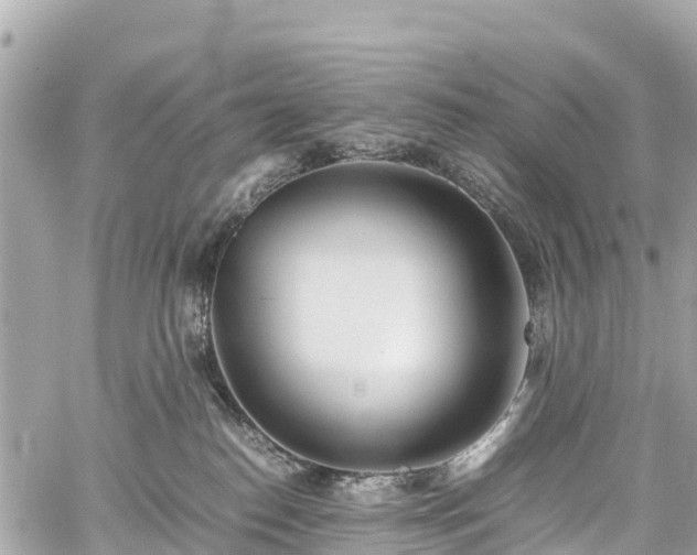 X0000059830186200510241430