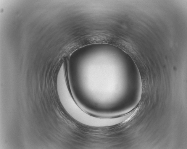 X0000059830187200510241430