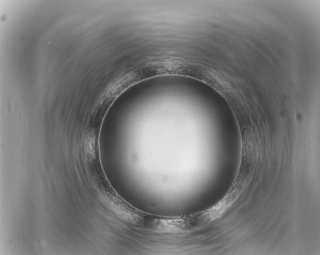 X0000059830188200510241430