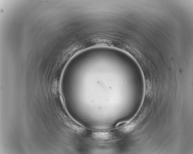 X0000059830189200510241430