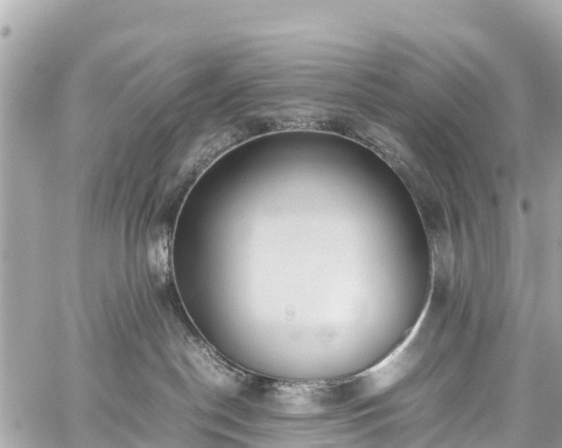 X0000059830190200510241430