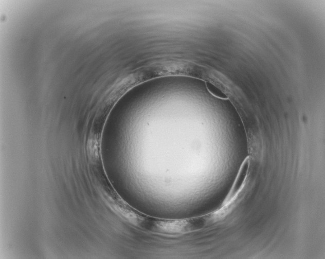 X0000059830191200510241430