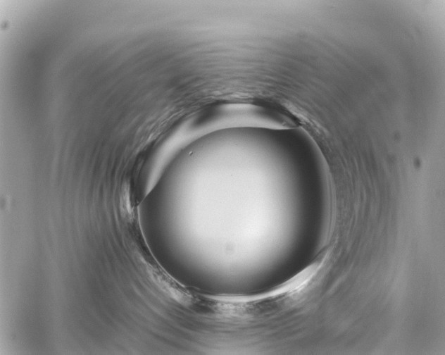 X0000059830192200510241430