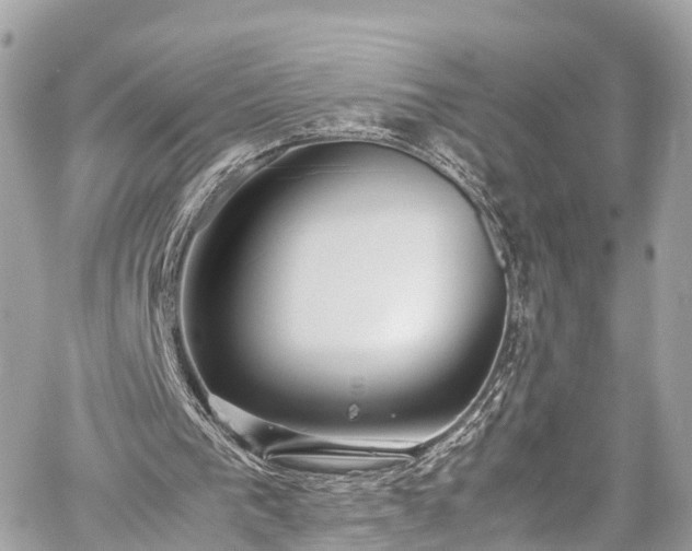 X0000059830193200510241430