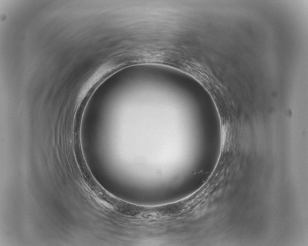 X0000059830195200510241430