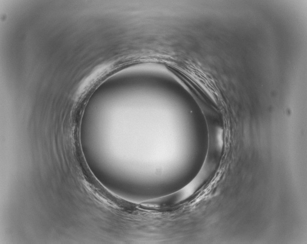 X0000059830197200510241429