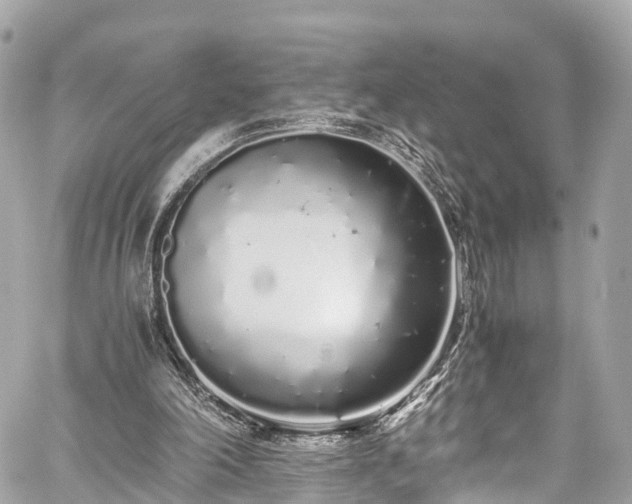 X0000059830198200510241429