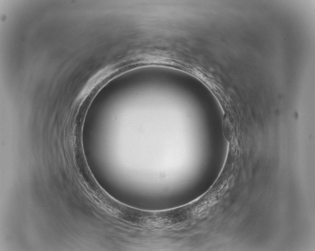 X0000059830199200510241429