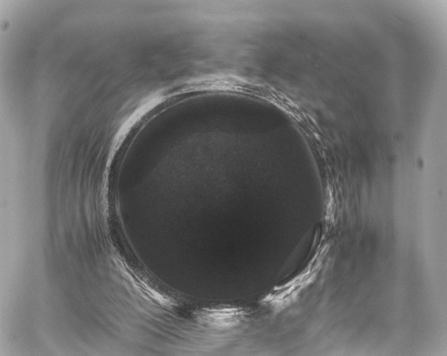 X0000059830200200510241429