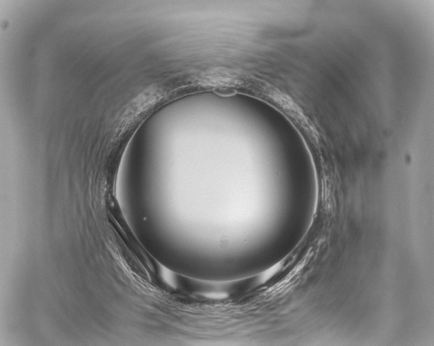 X0000059830201200510241429