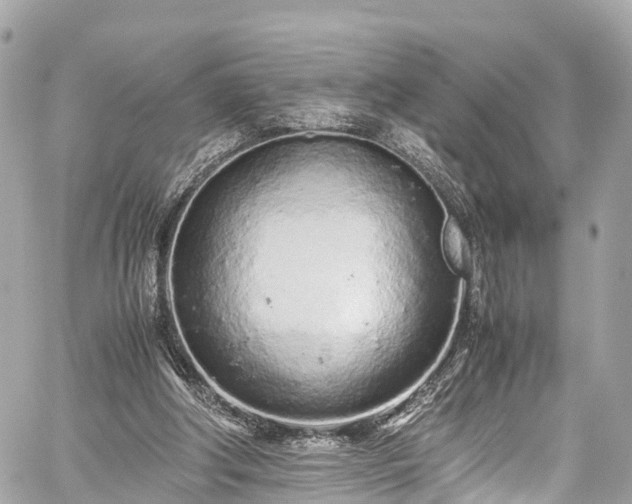 X0000059830202200510241429