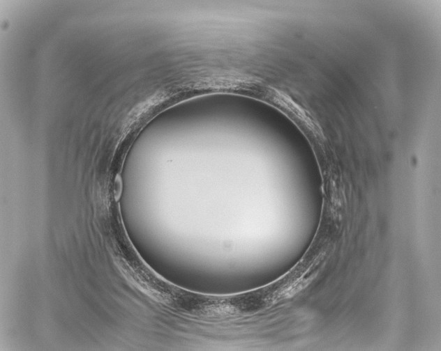 X0000059830203200510241429