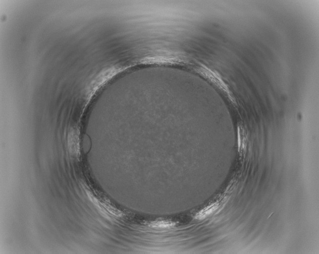 X0000059830204200510241429