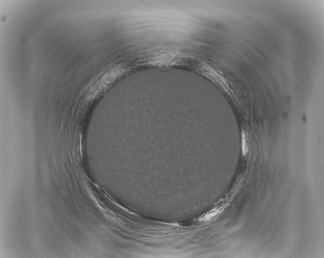 X0000059830205200510241429