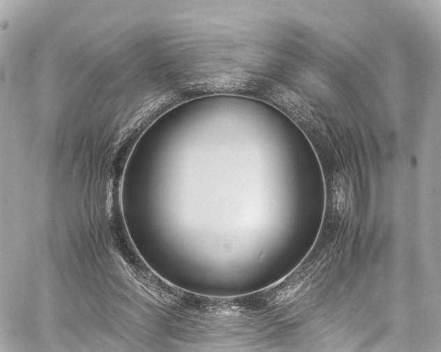 X0000059830206200510241429