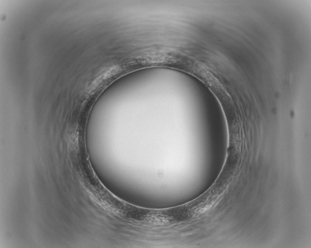 X0000059830207200510241429