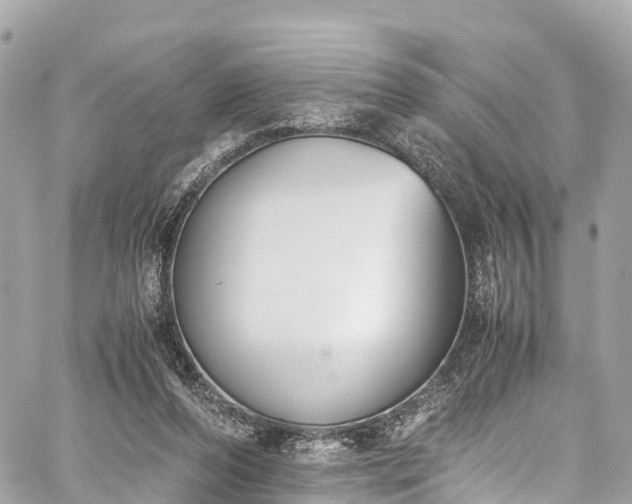 X0000059830208200510241429