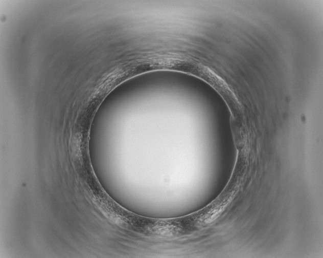 X0000059830209200510241429