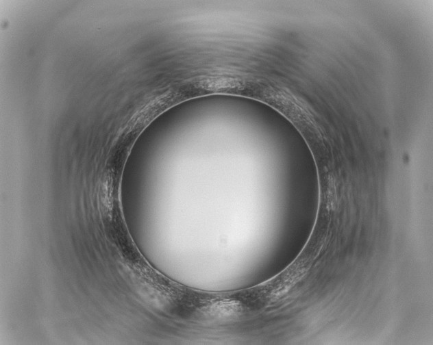 X0000059830210200510241429