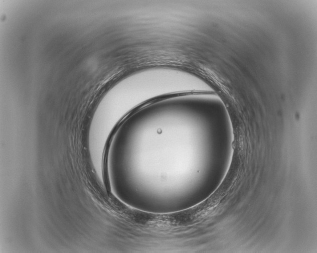 X0000059830211200510241429