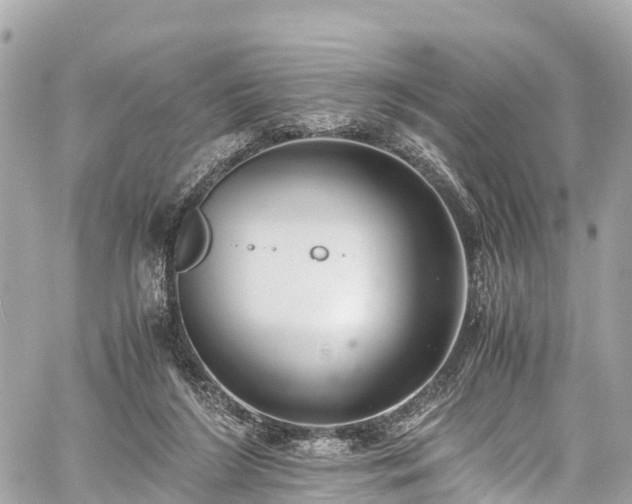 X0000059830212200510241429