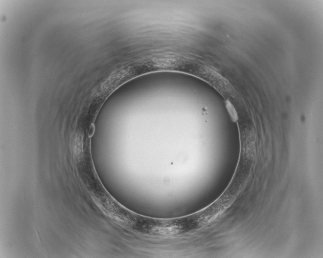 X0000059830213200510241429