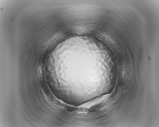 X0000059830214200510241429