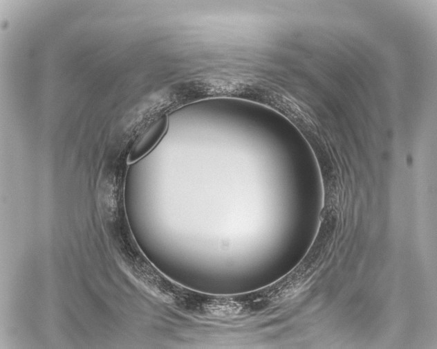 X0000059830215200510241429