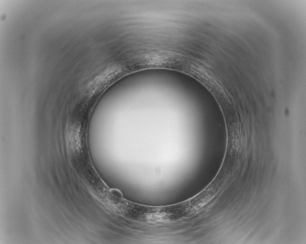 X0000059830216200510241429