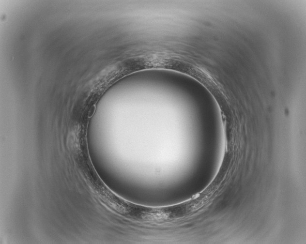 X0000059830217200510241429