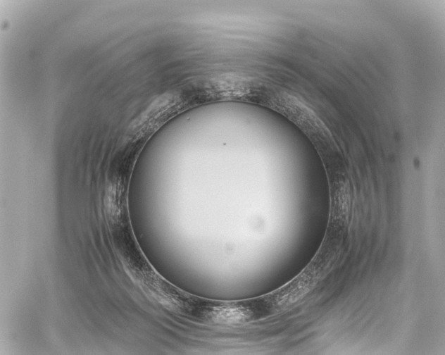 X0000059830218200510241429