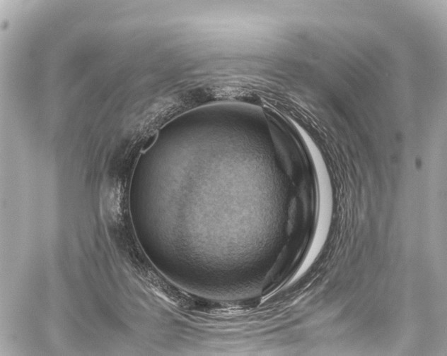 X0000059830219200510241429