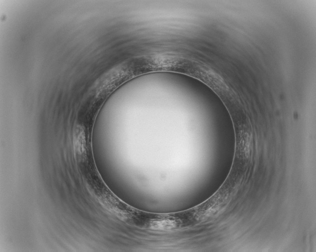 X0000059830220200510241429