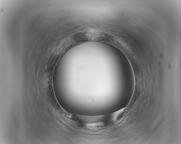 X0000059830221200510241429