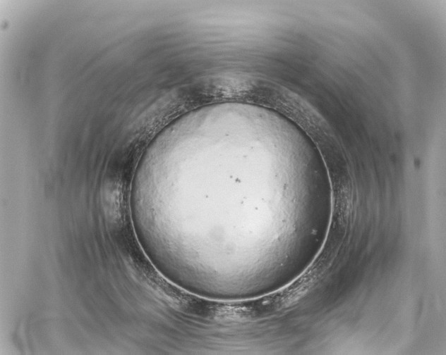 X0000059830222200510241429