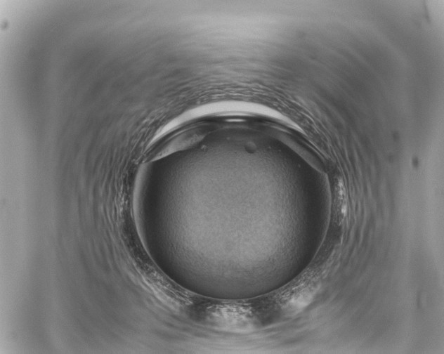 X0000059830223200510241429