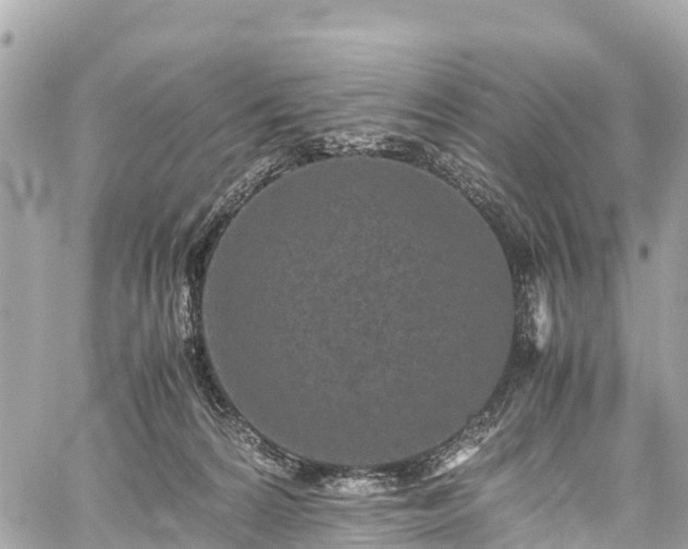 X0000059830224200510241429