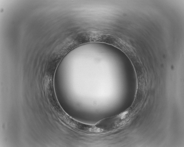 X0000059830225200510241429