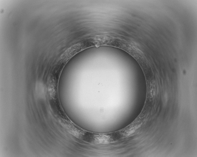 X0000059830226200510241429