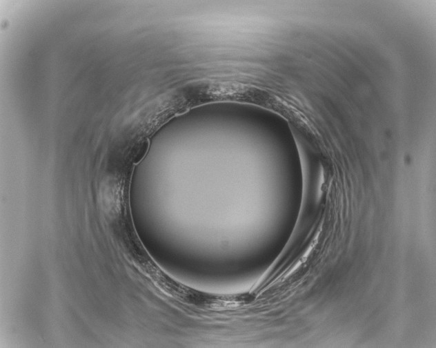 X0000059830227200510241429