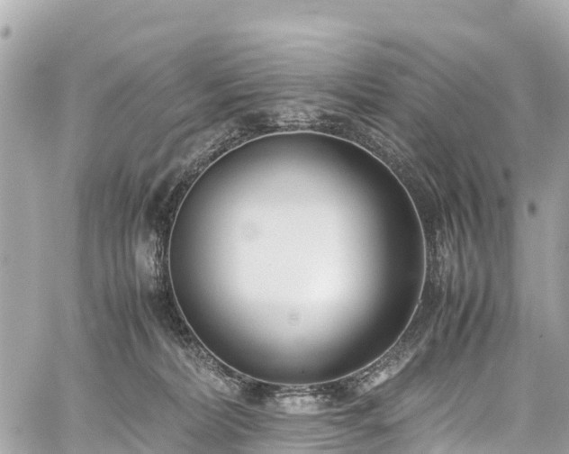 X0000059830228200510241429