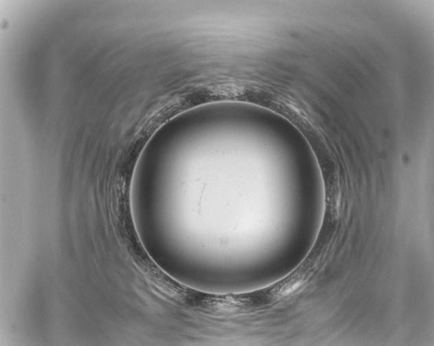 X0000059830229200510241429