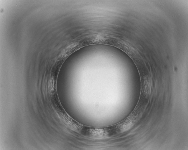 X0000059830230200510241429