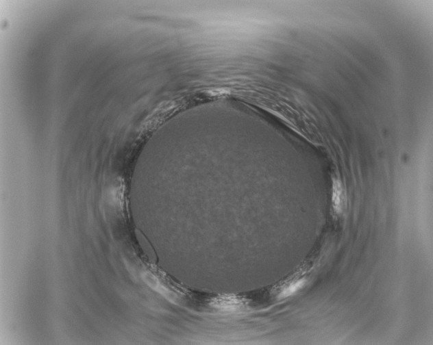 X0000059830231200510241429